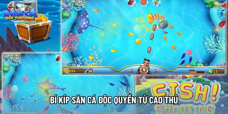 Bí kíp săn cá độc quyền từ cao thủ