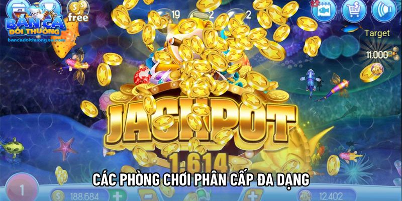 Các phòng chơi phân cấp đa dạng