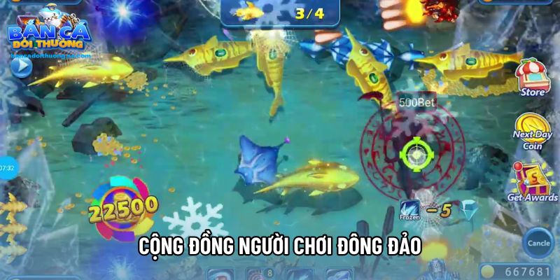 Cộng đồng người chơi đông đảo