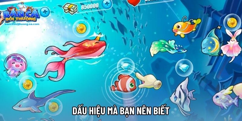 Dấu hiệu mà bạn nên biết