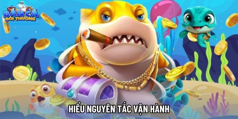 Hiểu nguyên tắc vận hành