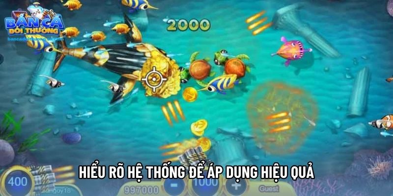 Hiểu rõ hệ thống để áp dụng hiệu quả