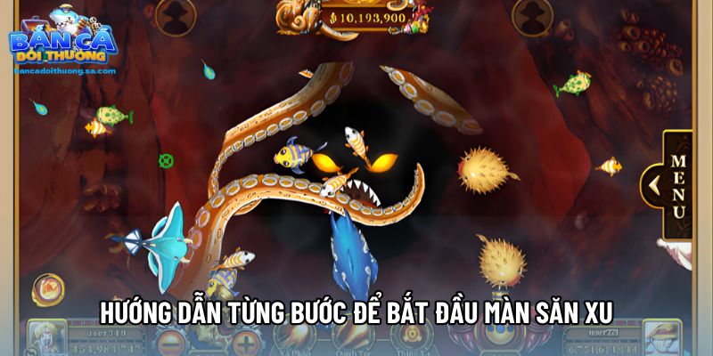 Hướng dẫn từng bước để bắt đầu màn săn xu