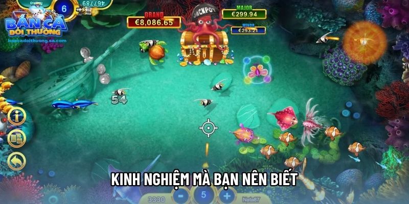 Kinh nghiệm mà bạn nên biết