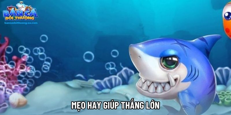 Mẹo hay giúp thắng lớn