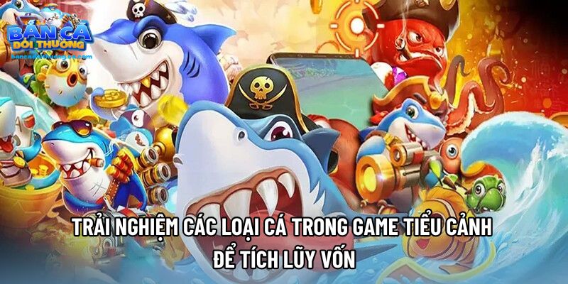 Trải nghiệm các loại cá trong game tiểu cảnh để tích lũy vốn